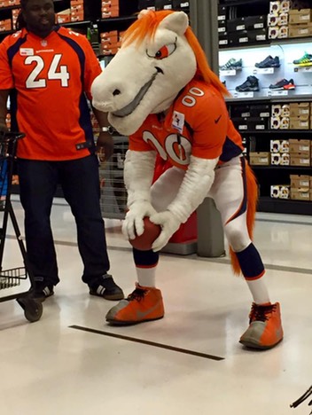 Miles the Denver Broncos Mascot
